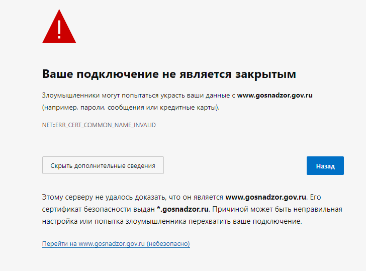 скриншот блокирующей страницы в браузере после раскрытия дополнительных сведений