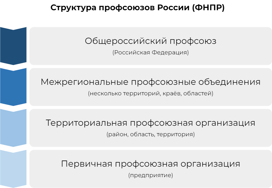 структура профсоюзов России