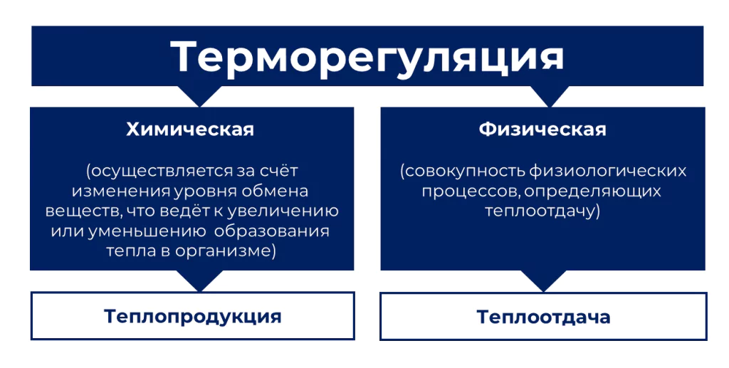 Работа в жару