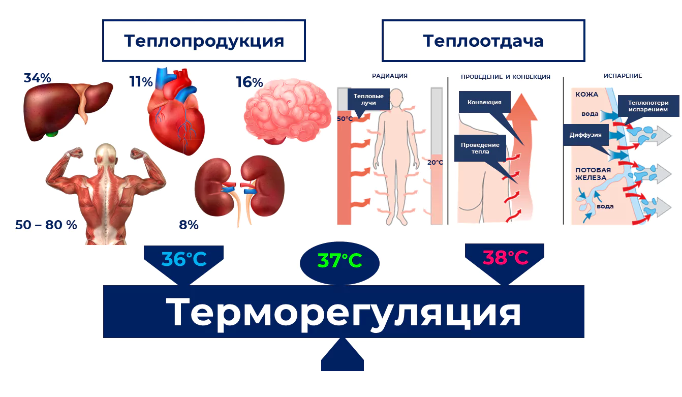 Работа в жару