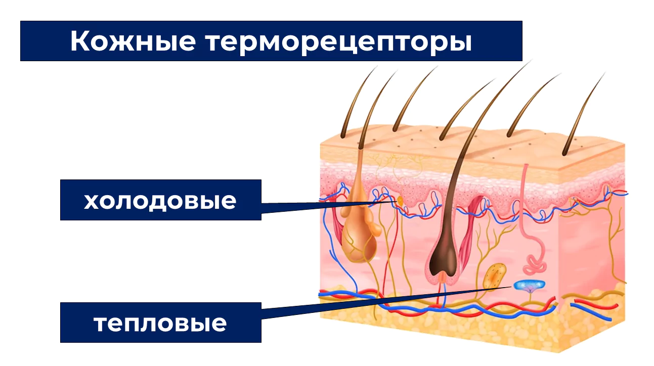 Работа в жару