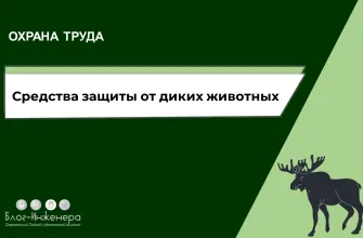 Дикие животные